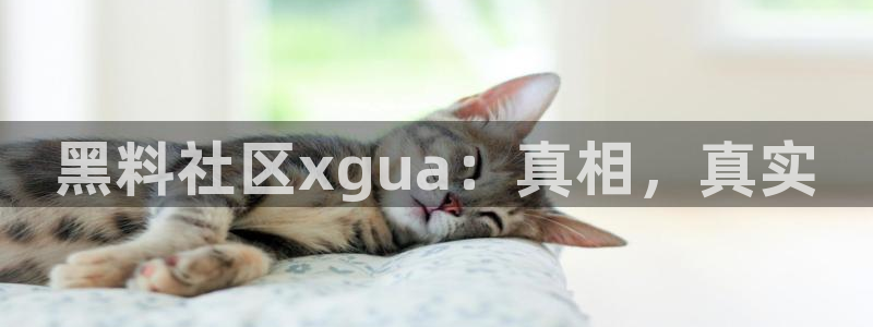 顶流男星被曝隐瞒婚史，前妻晒出聊天记录实锤