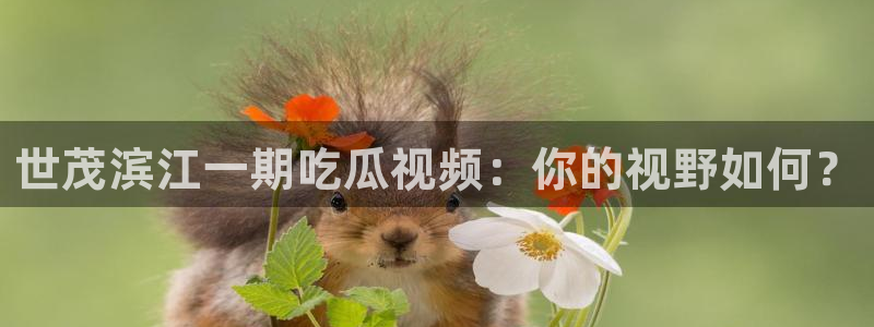 顶流男星被曝隐瞒婚史，前妻晒出聊天记录实锤