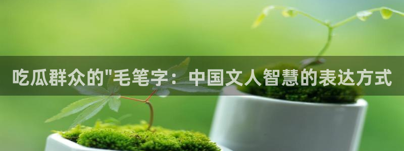 顶流男星被曝隐瞒婚史，前妻晒出聊天记录实锤